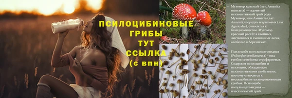 кокаин колумбия Алзамай