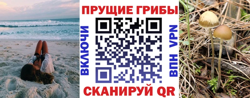 blacksprut ссылка  закладка  Карачаевск  Галлюциногенные грибы ЛСД 