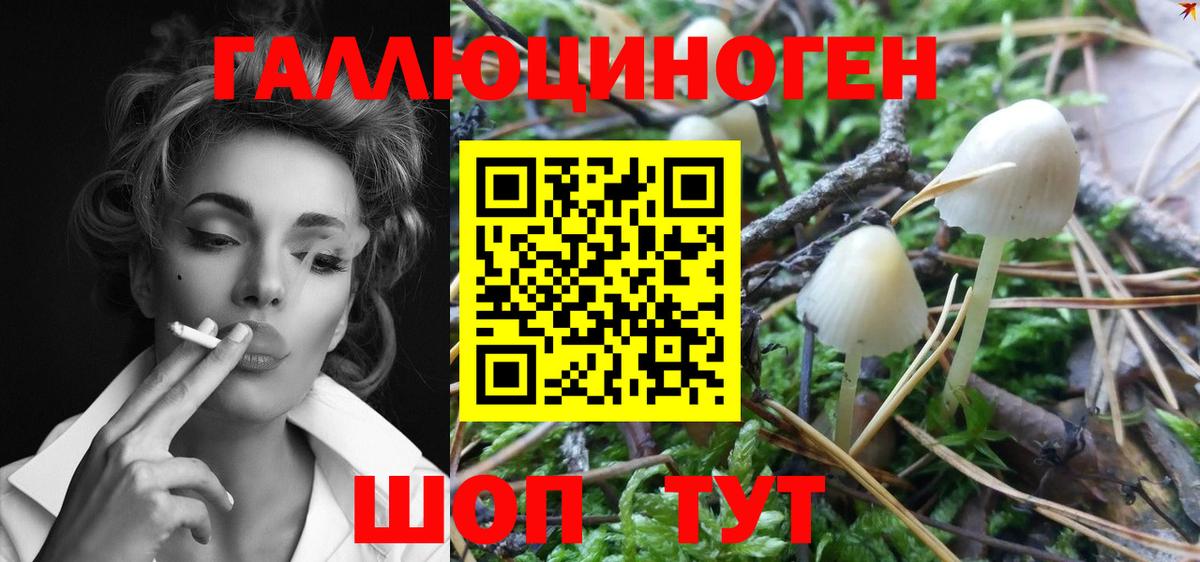 Карачаевск  Галлюциногенные грибы мухоморы  Вход с VPN 