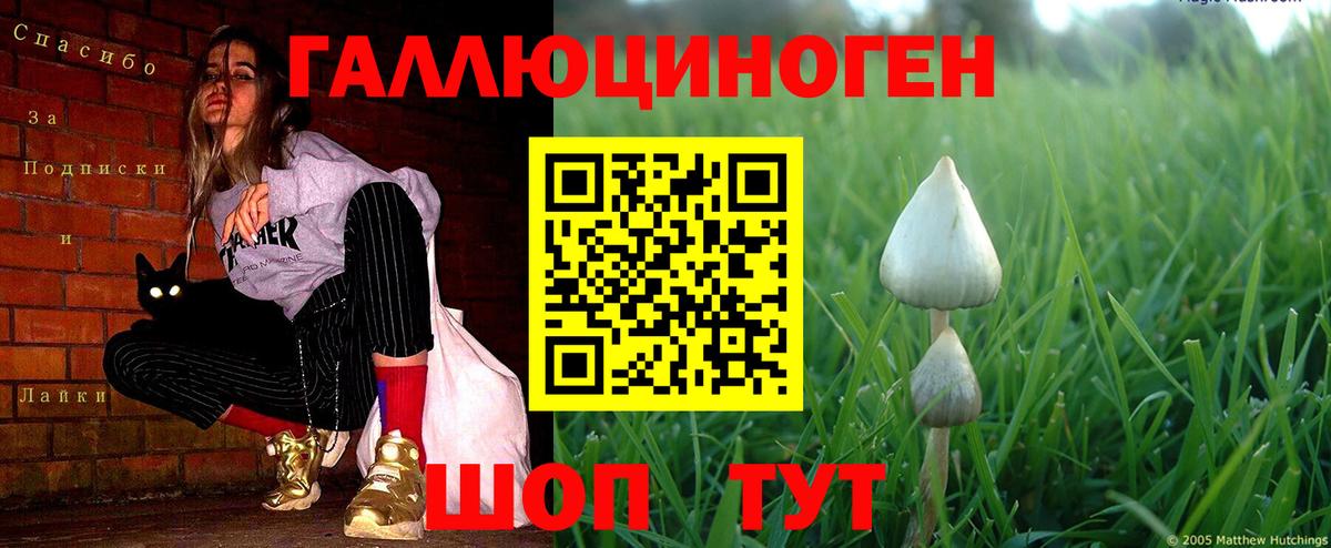 Псилоцибиновые грибы мицелий Карачаевск